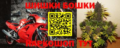 шишки Балахна
